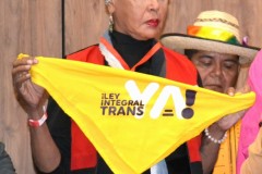 GALERIA-2-FOTO-41
